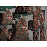 Maraix Castellanos's Christmas tree from Venezuela