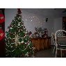 Lilia Maya's Christmas tree from Canc