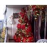 Weihnachtsbaum von Magaly (Venezuela)