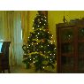 Diana Parres Gonzalez's Christmas tree from Alicante, Espa�a