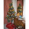 Victor's Christmas tree from Valencia, Espa�a