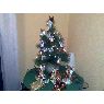 In�s Foronda's Christmas tree from Erandio, Espa�a