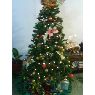 Giovanna  Di�Yesi's Christmas tree from Caracas, Venezuela