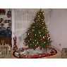 Tania Contreras's Christmas tree from Mexico