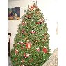 Arturo Galv�n (bomberos)'s Christmas tree from Puebla, M�xico