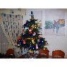 To�y Mulero's Christmas tree from Cartagena, Espa�a