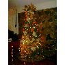 Weihnachtsbaum von Flia Lobo Zambrano (M�rida, Venezuela)
