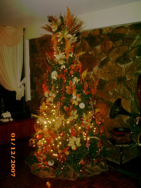Flia Lobo Zambrano (M�rida, Venezuela)