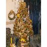 Sapin de No�l de Flor de Freites (SAN CRIST�BAL, VENEZUELA)