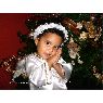 Maryeli Bejarano's Christmas tree from Barquisimeto, Venezuela
