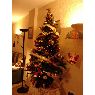 Marcela Moreira Aragon's Christmas tree from Malaga, Espa�a