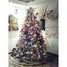 Sapin de No�l de Alejandra Rincon (Venezuela, Zulia)