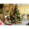 Sapin de No�l de Mar�a Ang�lica Herrera Arias (Cartagena, Colombia)