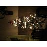 Cecilia's Christmas tree from Buenos Aires, Argentina