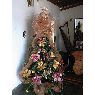 Luz Elena Pirela Mej�as's Christmas tree from Onoto, Anzo�tegui, Venezuela