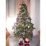 Isabel y Ana's Christmas tree from Gran Canaria, Islas Canarias