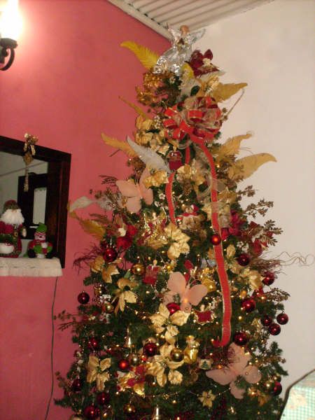 Rosita Medina (San Cristobal, Venezuela)