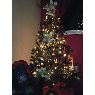 Weihnachtsbaum von Familia Matheus Ricaute (Valencia, Venezuela)