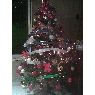 Gisela's Christmas tree from Buenos aires, Argentina