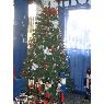 Keila Gutierrez's Christmas tree from Venezuela