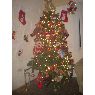Familia LLnez Lugo's Christmas tree from Hermosillo, Sonora, M�xico