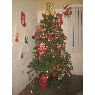 Juan Carlos Lanez's Christmas tree from Hermosillo, Sonora, M�xico
