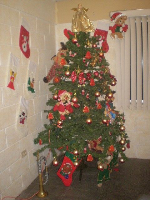 Juan Carlos Lanez (Hermosillo, Sonora, M�xico)