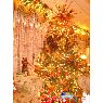 Sapin de No�l de Joel (Panam�)