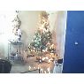 grecia linares's Christmas tree from galicia