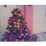 Familia Garc�a Ayala's Christmas tree from Caracas, Venezuela