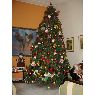 Weihnachtsbaum von Oscar Gonz�lez (Cucuta, Santander, Colombia)