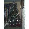 Sapin de No�l de Familia Ramirez Navarro (M�xico DF)