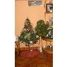 Jessica  M�nica Jes�s Balb�n's Christmas tree from Lima, Peru