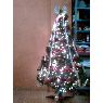 Elena's Christmas tree from M�xico