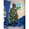Familia Sarmiento Hernandez's Christmas tree from Barcelona, Venezuela