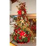 Magaly de Mar�n's Christmas tree from M�rida, Venezuela