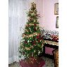 Maria's Christmas tree from Bre�a Alta, La Palma