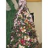 Sophia Zambrano Irausquin's Christmas tree from Los Teques, Venezuela