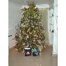 Josefina Teran's Christmas tree from Maracaibo, Venezuela