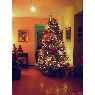 Sapin de No�l de Familia Lamana (Caracas, Venezuela)