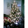 Maria's Christmas tree from Valencia, Venezuela