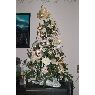 Binam� Martine's Christmas tree from Namur Belgique