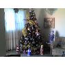 Lourdes de Ochoa Manriquez's Christmas tree from Valencia, Venezuela