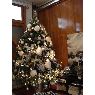 Weihnachtsbaum von Joaquim Font (Barcelona, Espa�a)