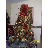 Siria Borrero de Rond�n's Christmas tree from Guanare, Venezuela
