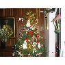 Martha Cecilia Gonzalez's Christmas tree from Medellin, Colombia