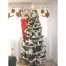 Luz Elena Osorio's Christmas tree from Medellin, Colombia