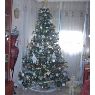 Sara Berta Diaz Nagel's Christmas tree from Espa�a