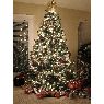 Sapin de No�l de Stiliana Dimitrova & Peter Sokolowski (Gilbert, AZ, USA)