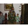 Patricia Gomez's Christmas tree from Medellin, Colombia